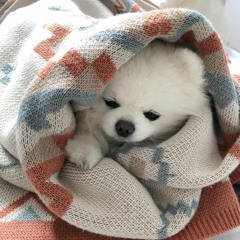 A Little Bit of Everything