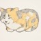 zoe_CATS
