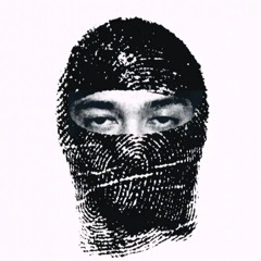 v4mpp