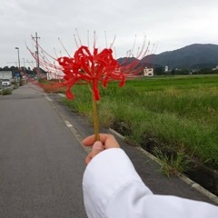 kamae