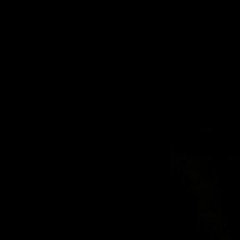 ALESAURUS