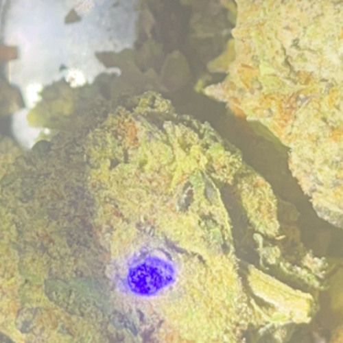 50BandTwon Teach em how to slide