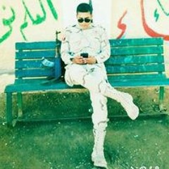 Amr Elsotohy