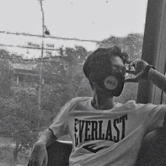 lvlustavixx