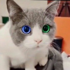 베르