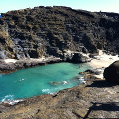 User D.e.a. Agent 272873369