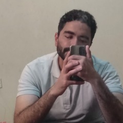 Hassan M. Hussien