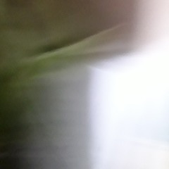 oks