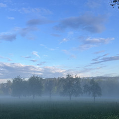 Friedrich