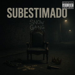 Snow Gang 77