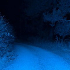 🦋 ℭℌ𝔈 🦋