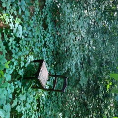 AcousticRchitek