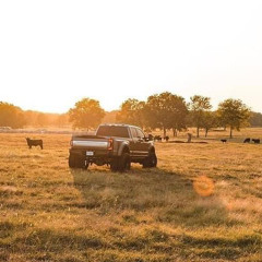 Vetle olai Buhaug Åsholm