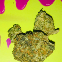 hippiepop