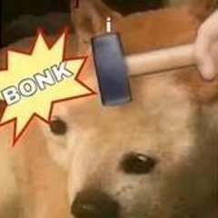 renxo