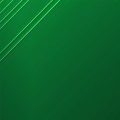 Guilherme Marques Silva