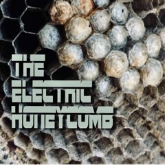 The Electric Honeycomb