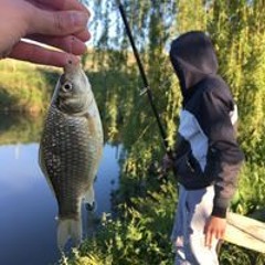 Дейвид Георгиев