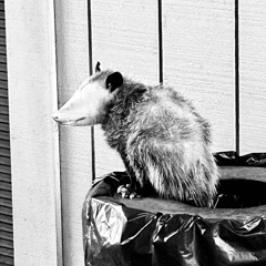 J-A-2xR-E-2xT Kji Le`Roy M