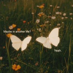 toomanywhatifs_