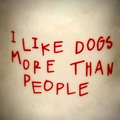 I Like Dogs More Than People