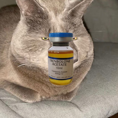 seized