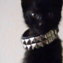 Javacats