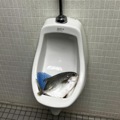 nj3