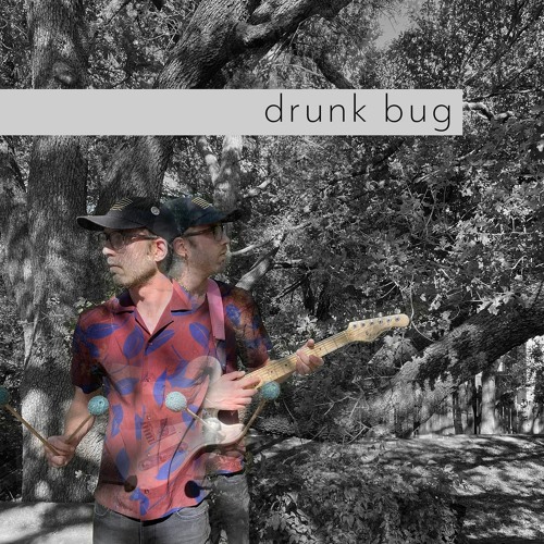 drunk bug’s avatar