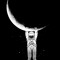 ziad