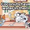 COCOUNUTS HAV WATR IN THEM