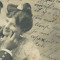 سارة