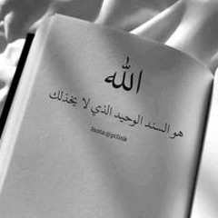 Engy Sayd