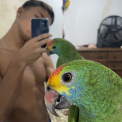 Jhonatan Brito