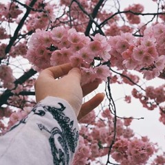 NaDaa Mohsen