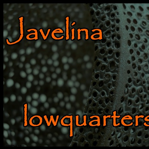 Javelina Lowquarters’s avatar