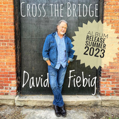 DavidFiebigMusic