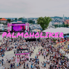 Palmoholiker