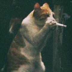 Rasslabon