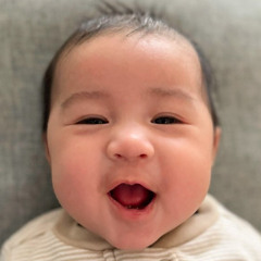 Tú Phan
