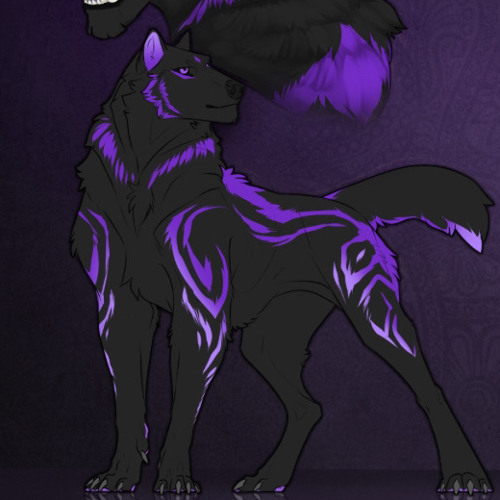 Night Wolf’s avatar
