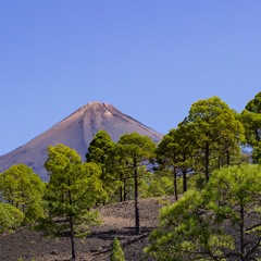 José Fierro Marrero