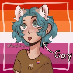 💙🐈‍⬛That🩷Gay🪷Kitty😜