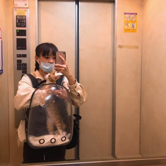 손혜정Hui Ting Sun