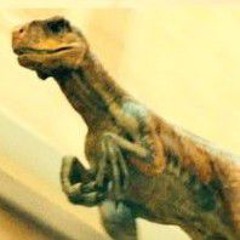 PantheraGurt