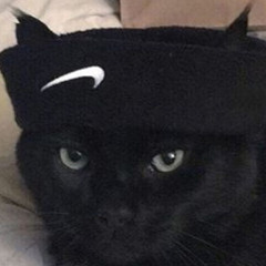 jæy