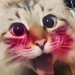 Kyzi