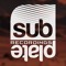 Subplate Recordings