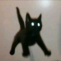 luna_not_here