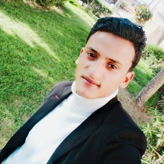 محمود البرنس